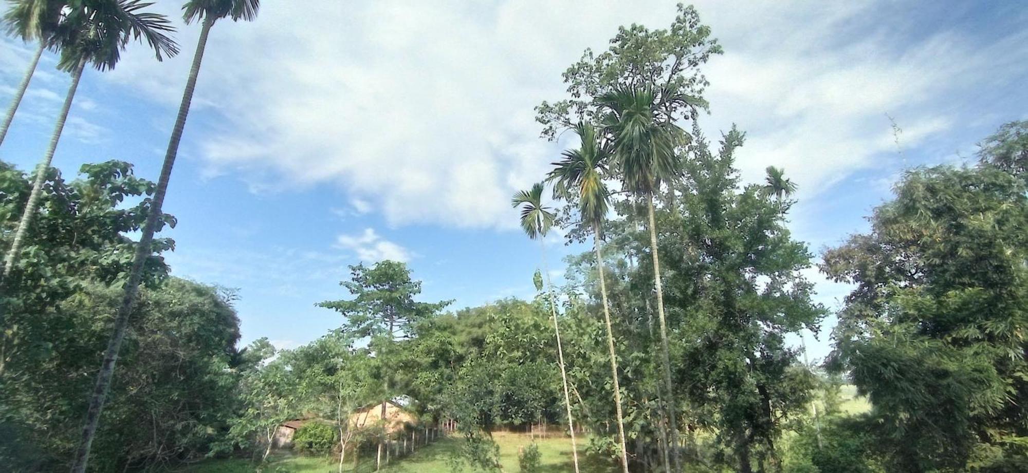 Hotel Kaziranga Holidays Kültér fotó